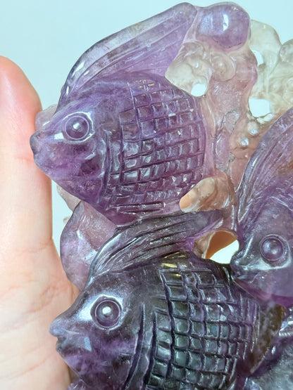 XL Fluorite Fish Carving