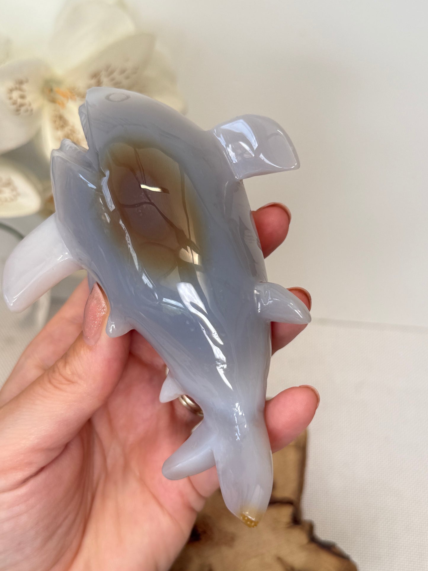 Druzy Agate Shark