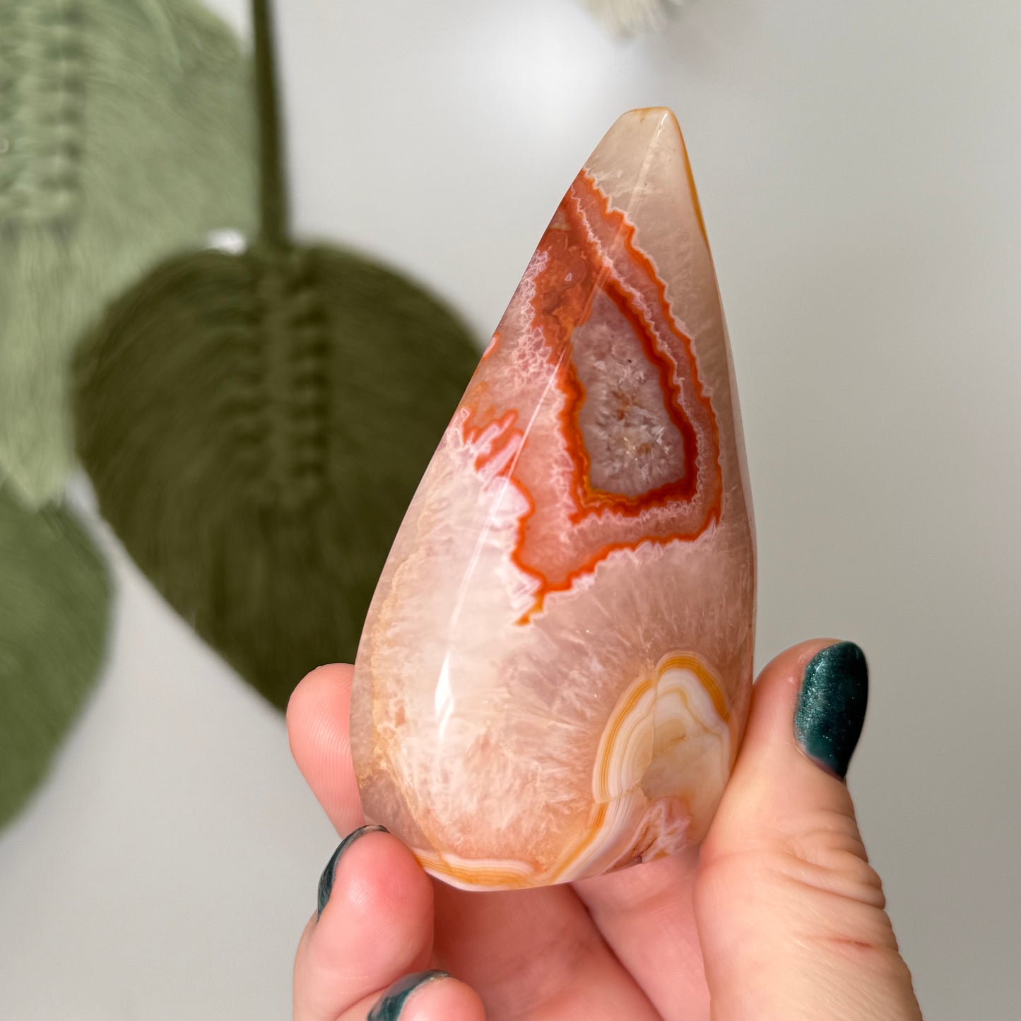 Carnelian Teardrop Freeform