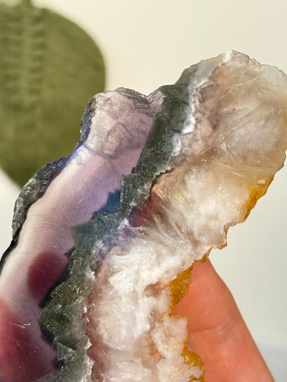 Fluorite With Pyrite Slab (Self Stands)