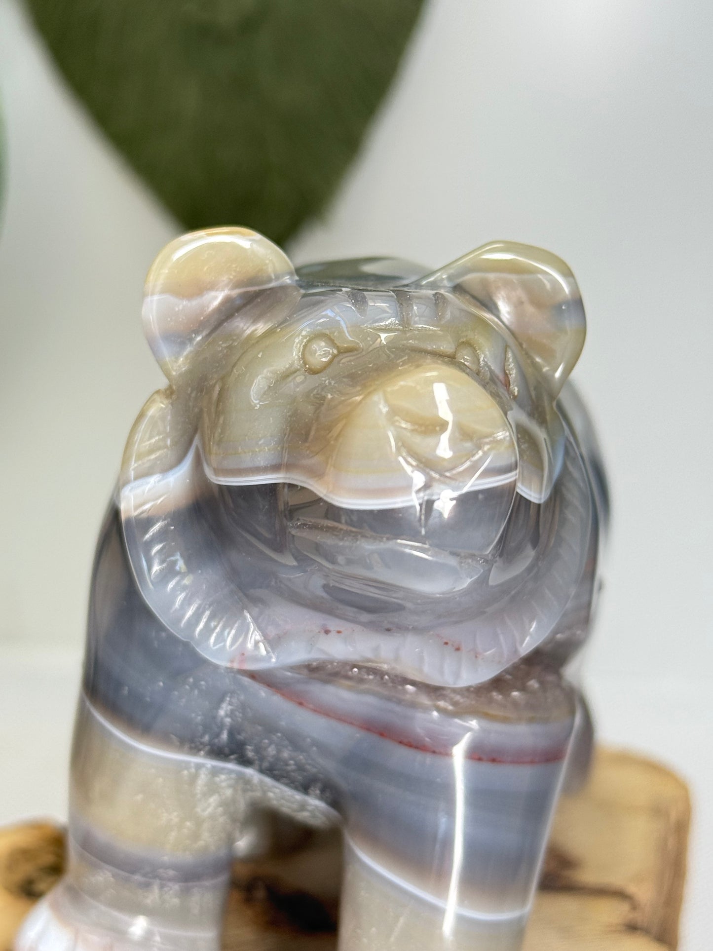 XL Druzy Agate Bear