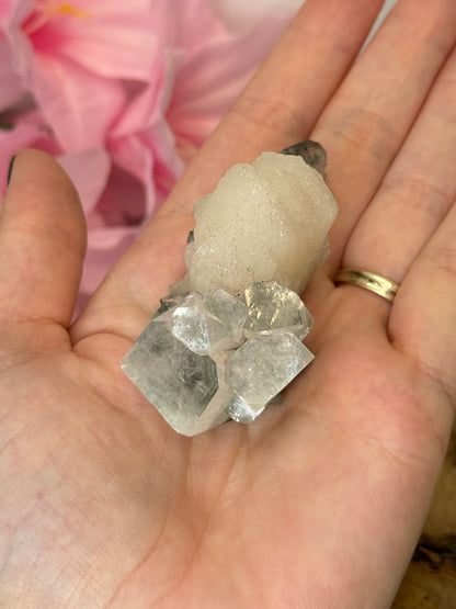 Part Green Apophyllite With Stilbite