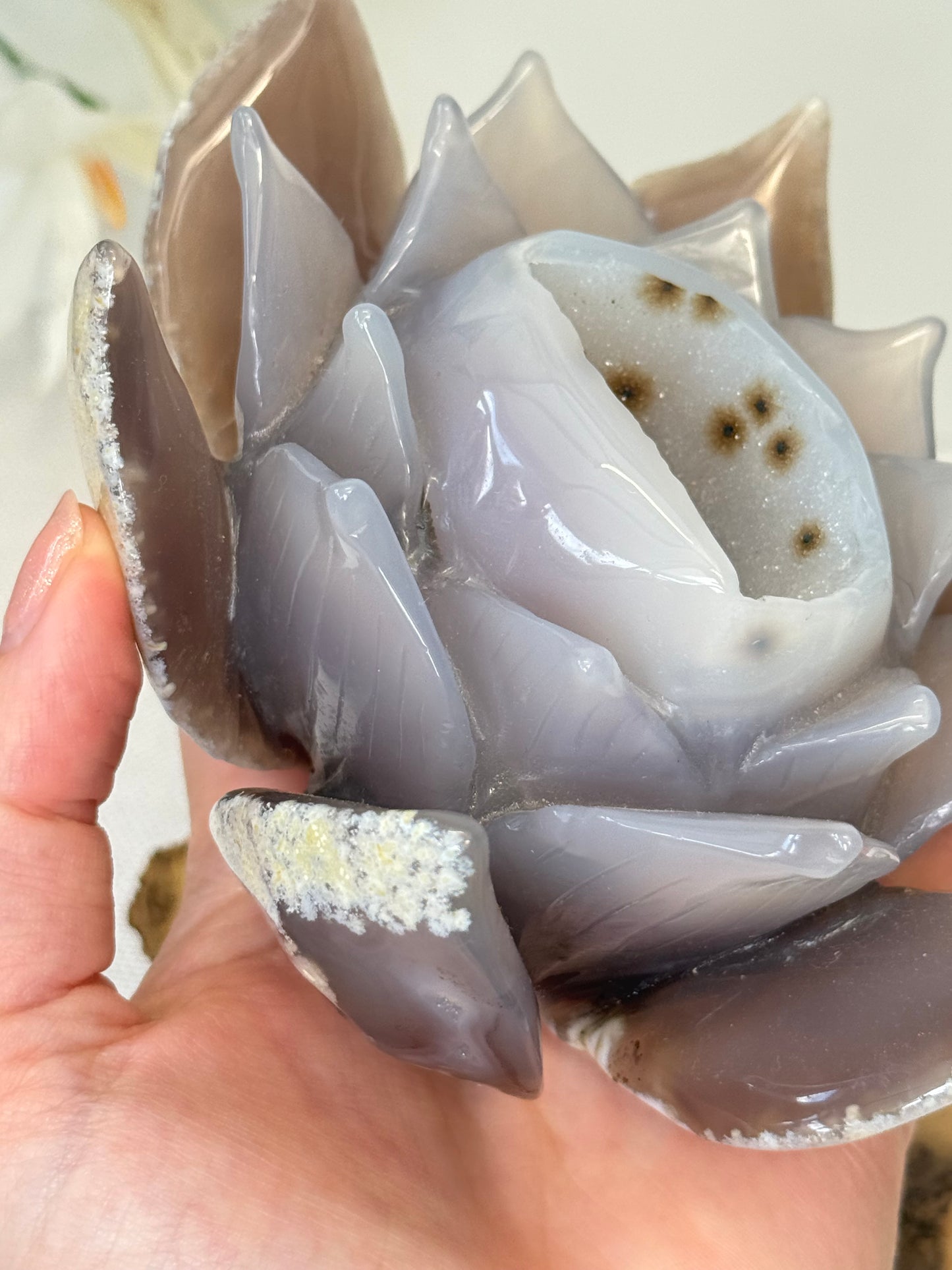 Large Druzy Agate Lotus
