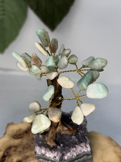 Amethyst Base Tree (Amazonite)