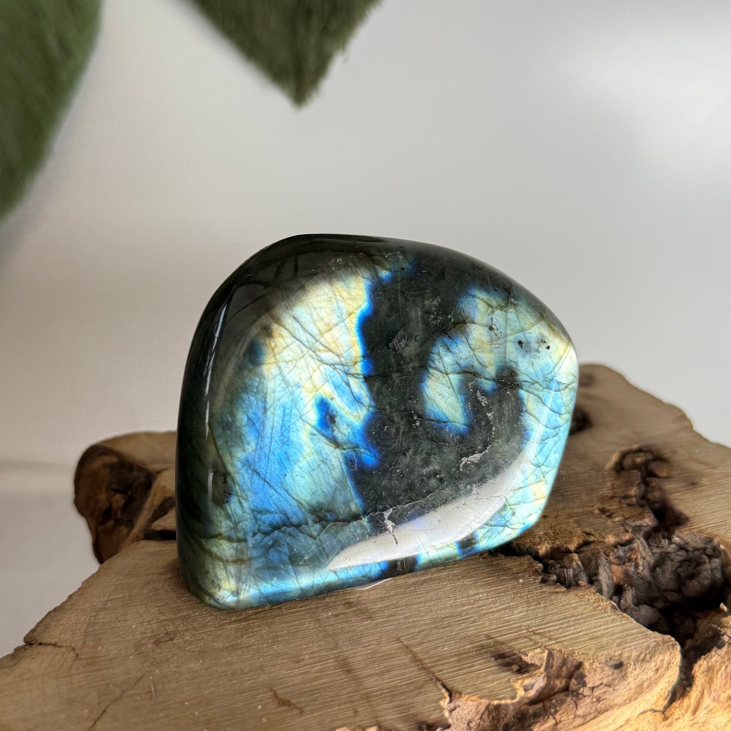 Labradorite Freeform