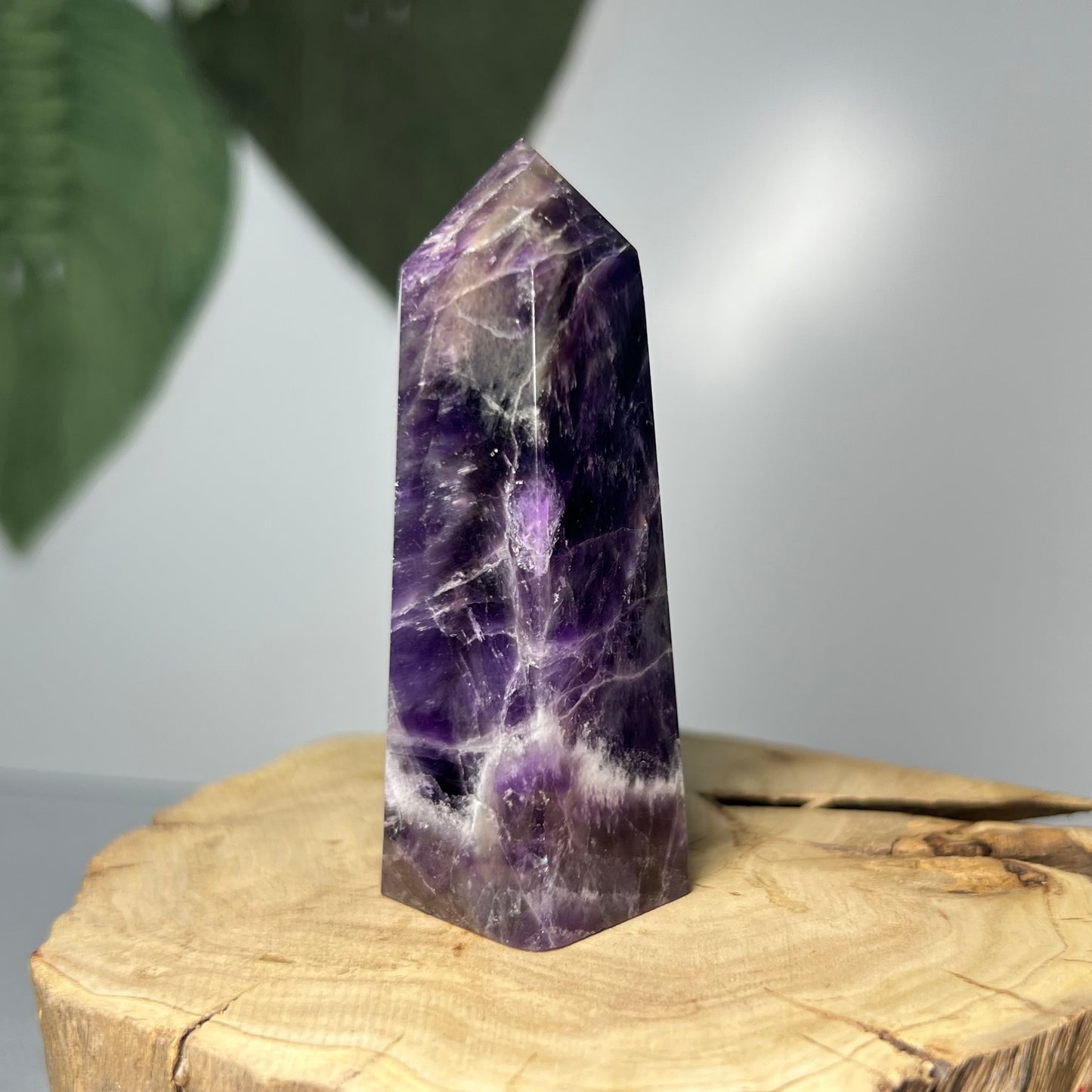 Dream Amethyst Point