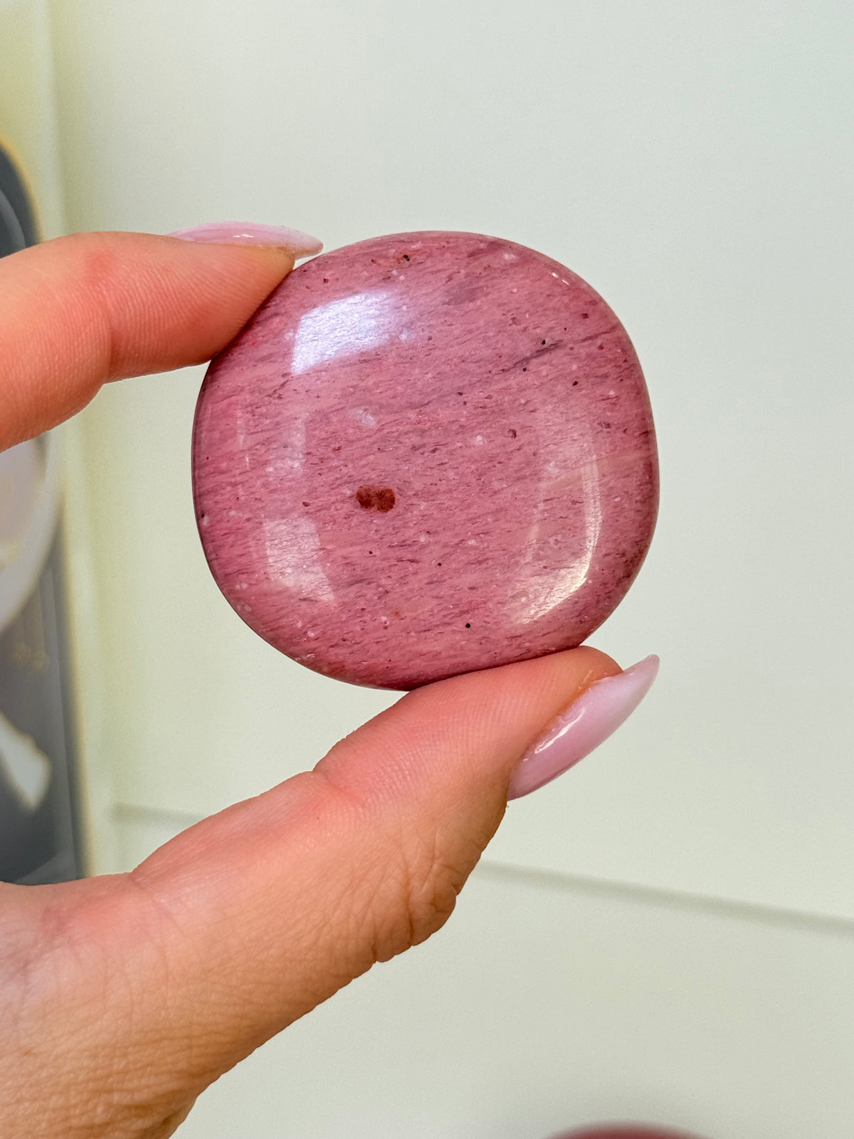 Pink Petrified Wood Cookie Palm