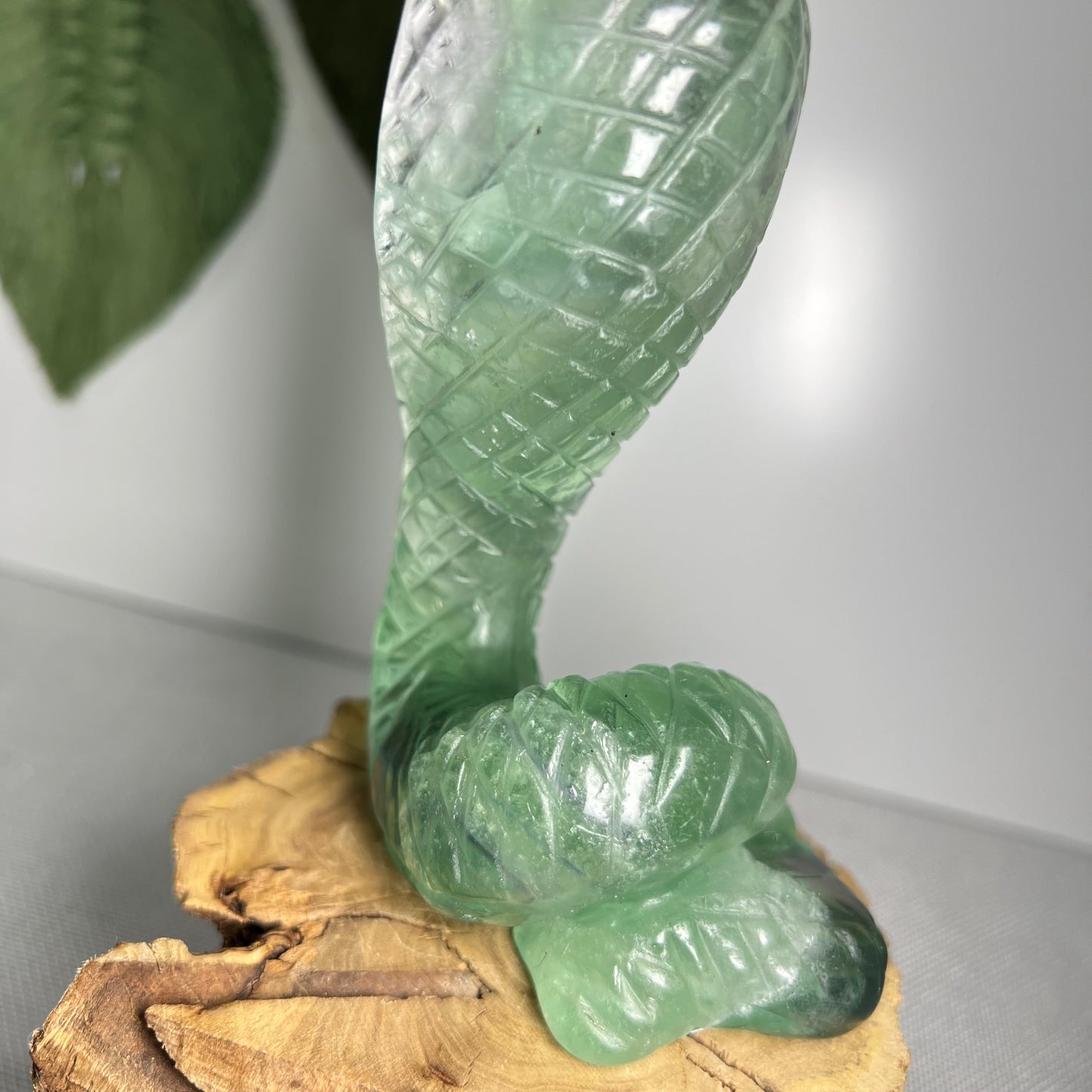 Large Fluorite Cobra Snake