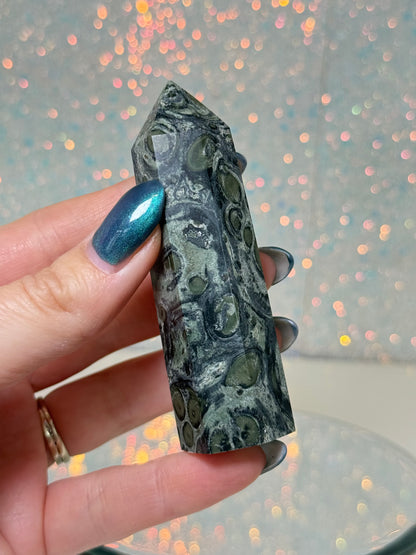 Kambaba Jasper Point