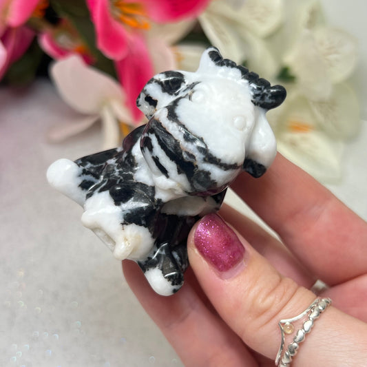 Zebra Jasper Cow