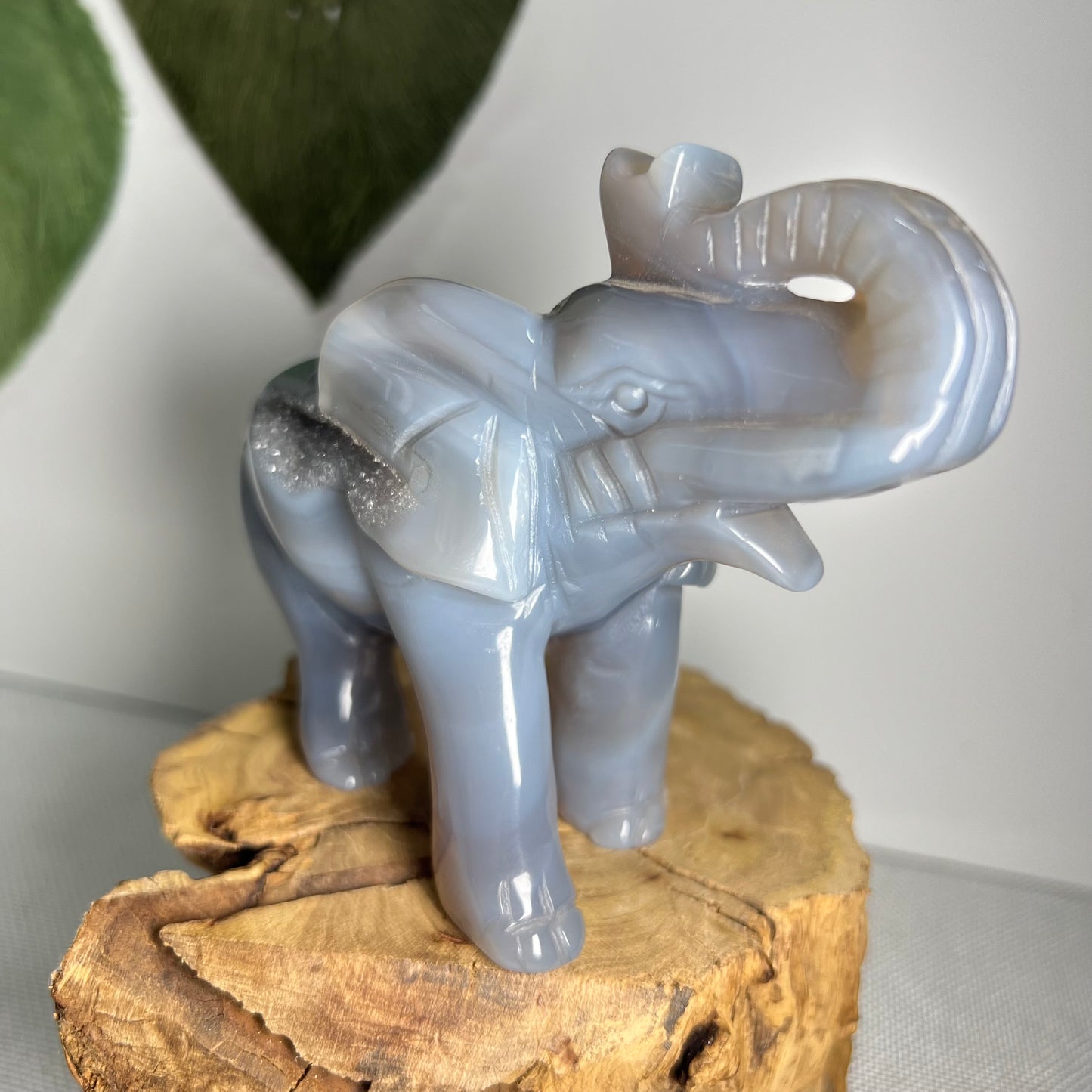 Large Druzy Agate Elephant