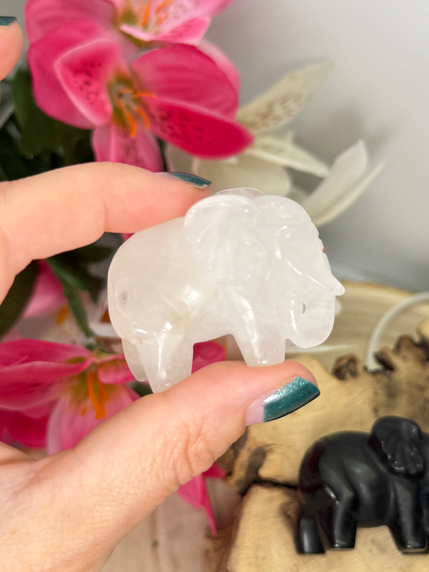 Elephant Carvings