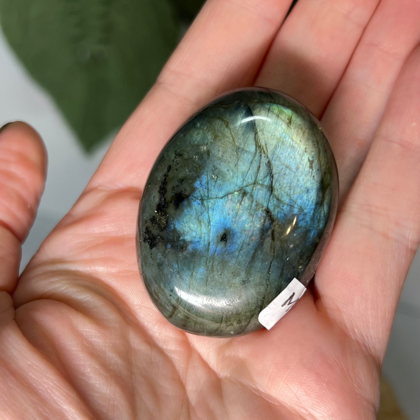 Labradorite Palm Stone