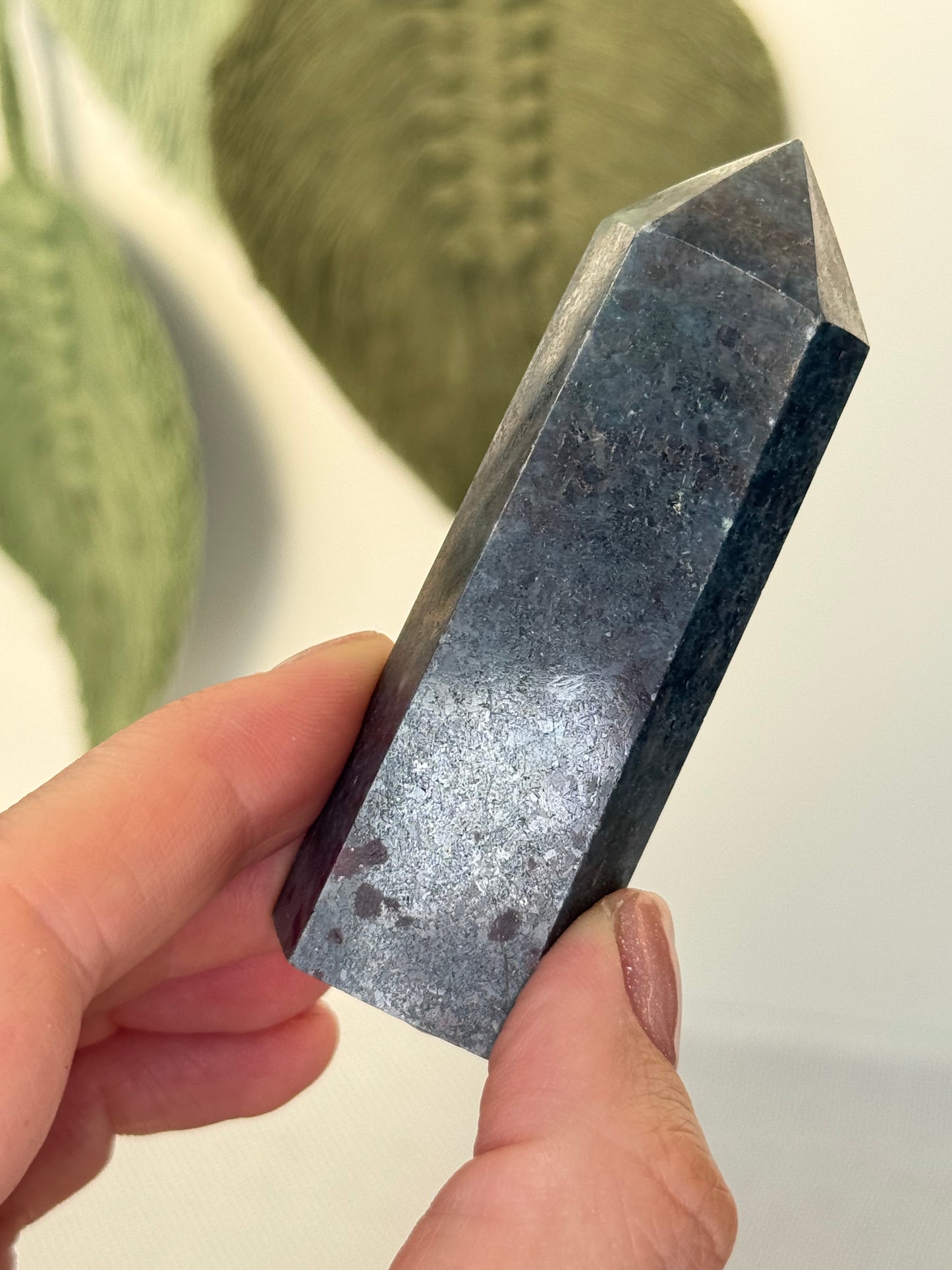 Ruby In Kyanite Point