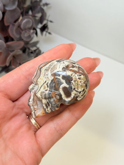 Money Agate Skull
