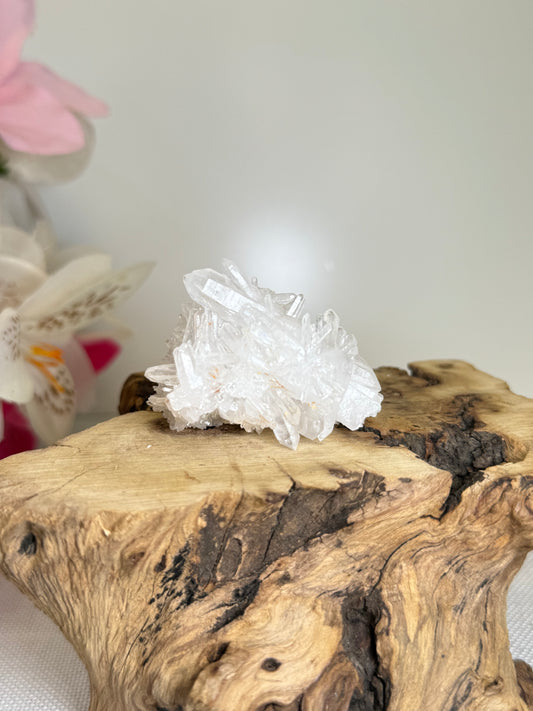 Chrysanthemum Quartz Raw