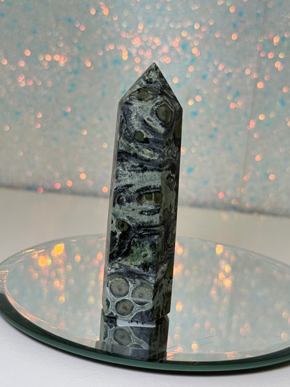 Kambaba Jasper Point