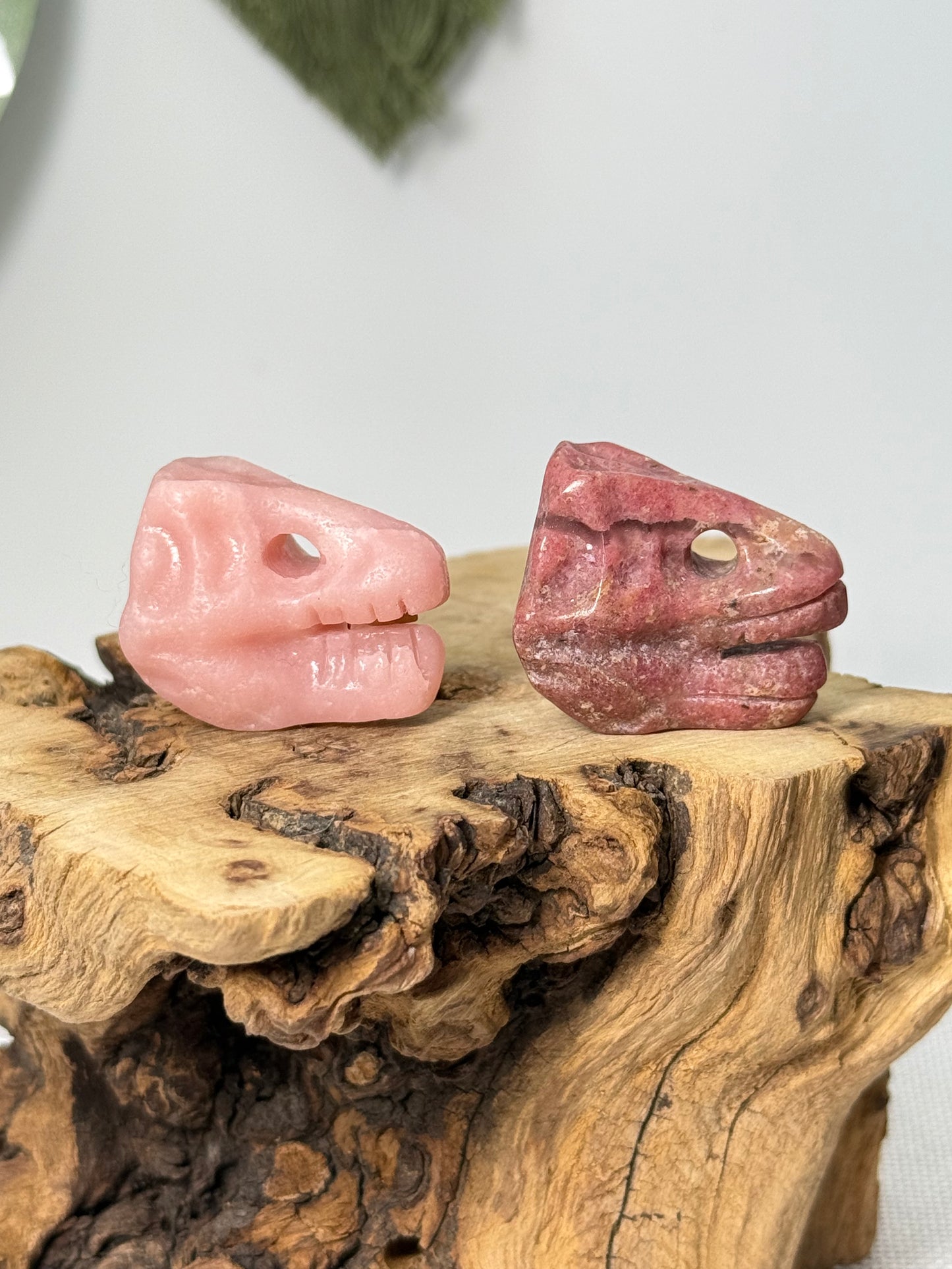 Dino Skull Carving