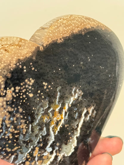 Large Palm Root Heart