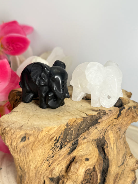 Elephant Carvings