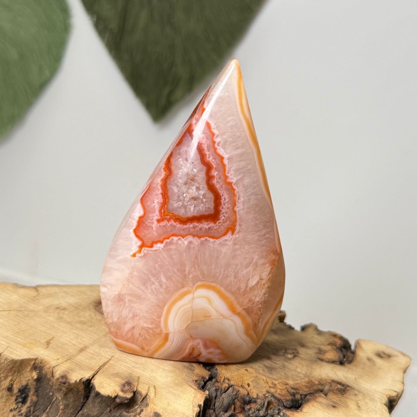 Carnelian Teardrop Freeform