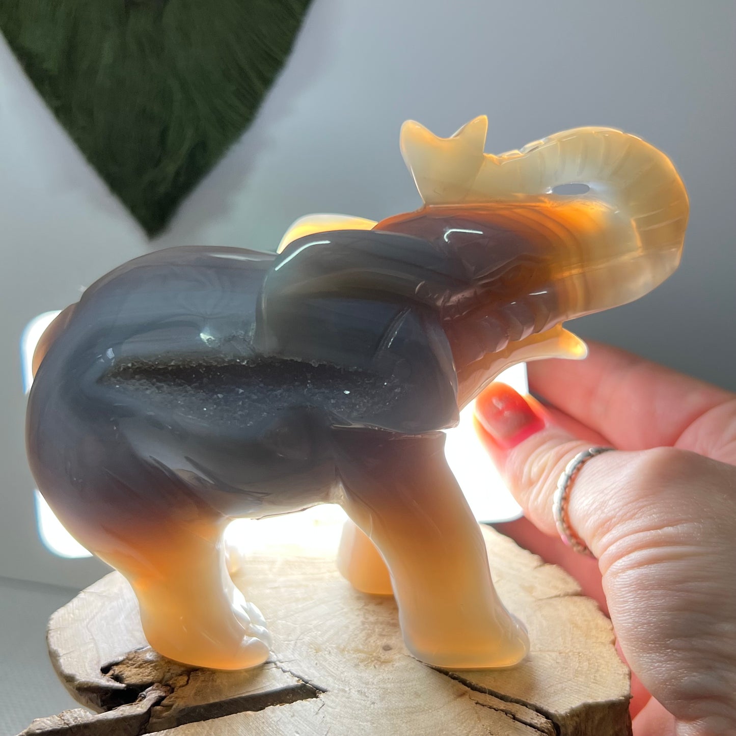 Large Druzy Agate Elephant