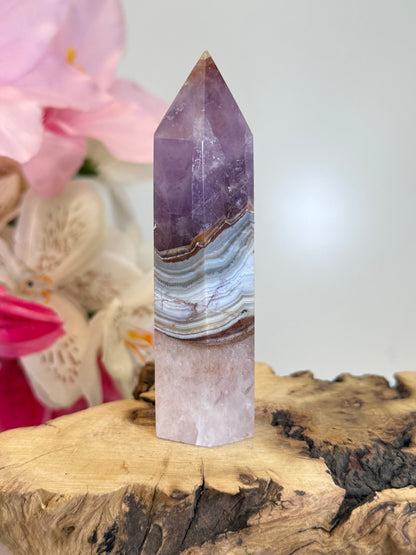 Amethyst x Mexican Agate Point