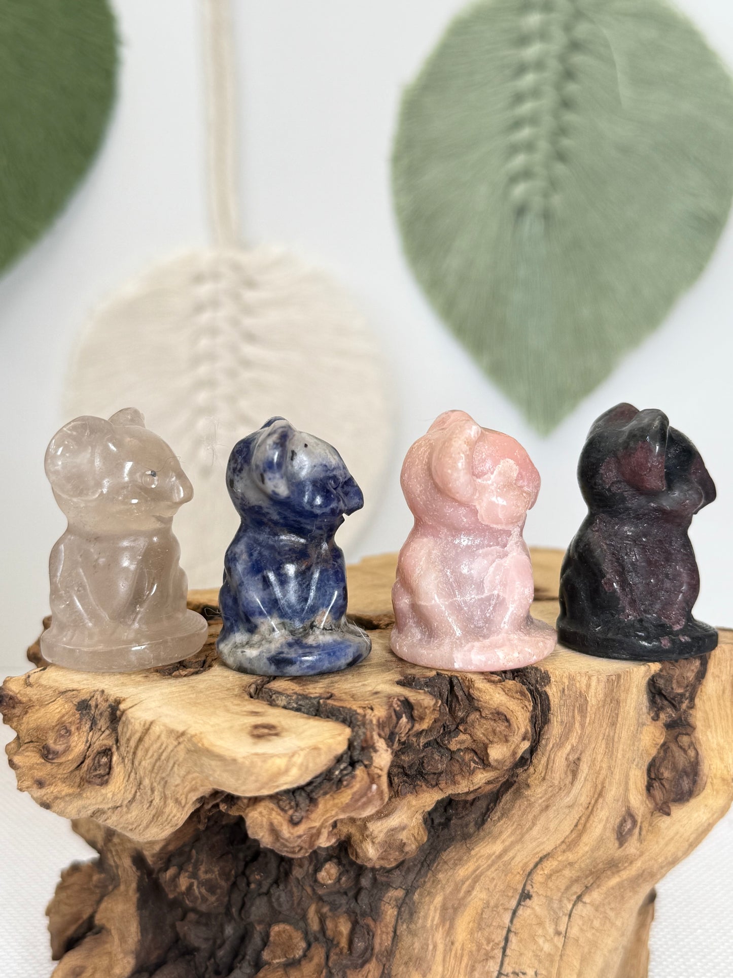 Koala Bear Carvings