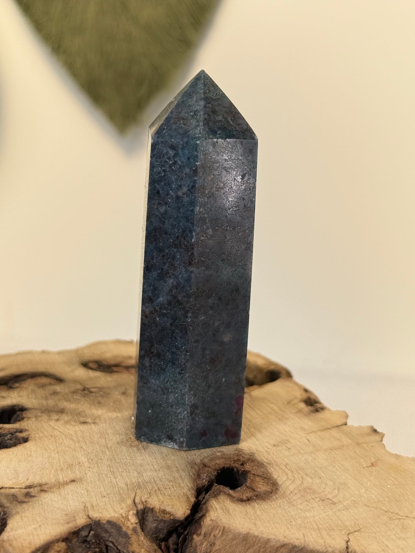 Ruby In Kyanite Point