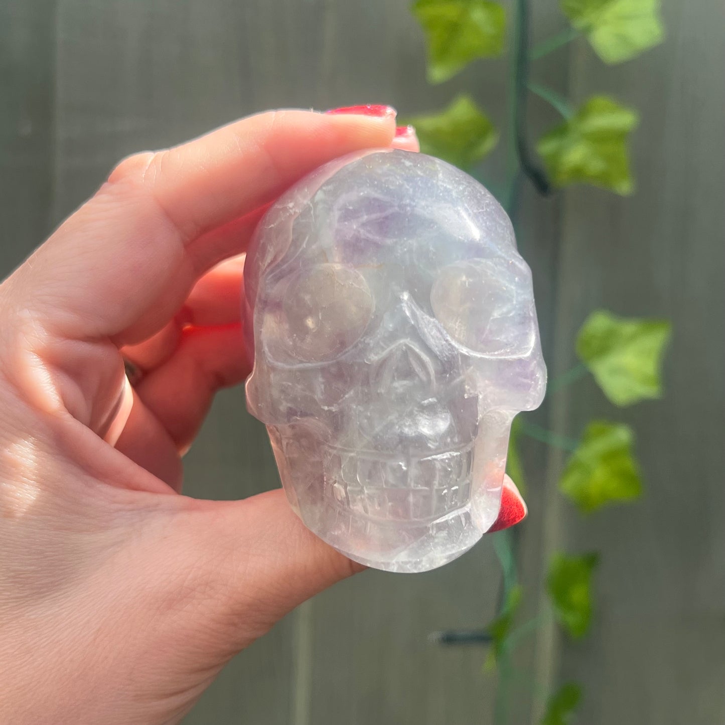 Fluorite Skull