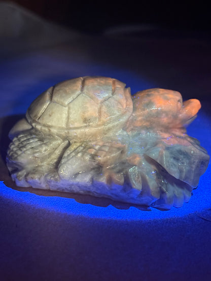 Hackmanite Turtle