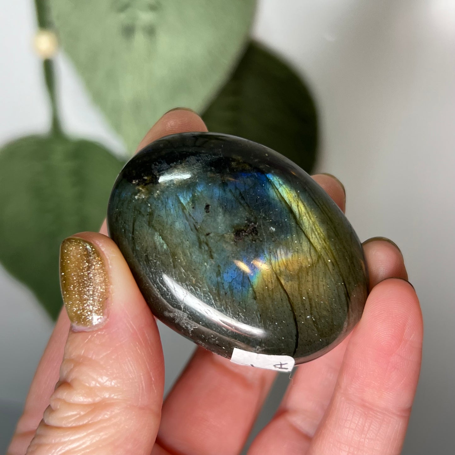 Labradorite Palm Stone