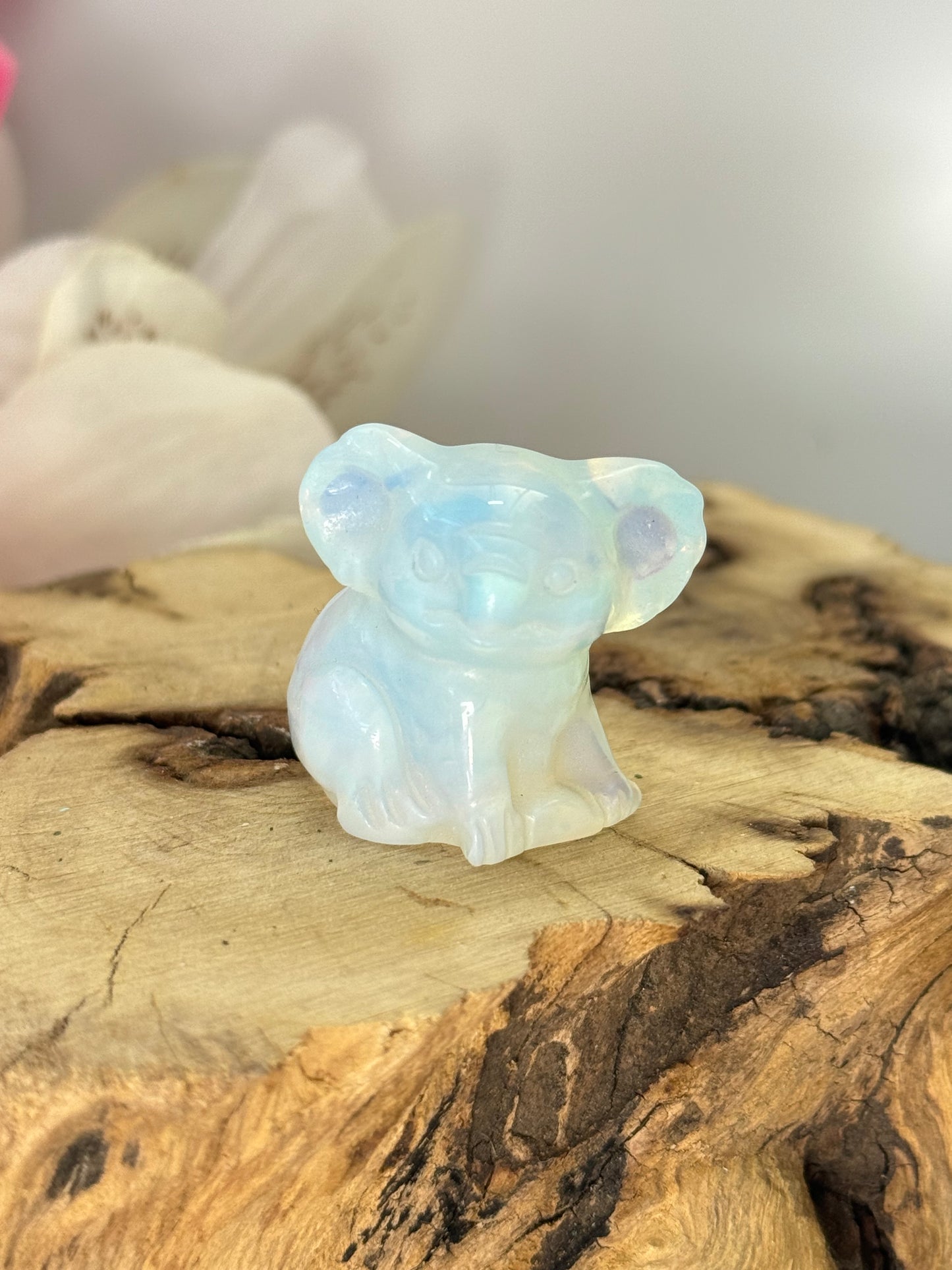 Opalite Koala Bear