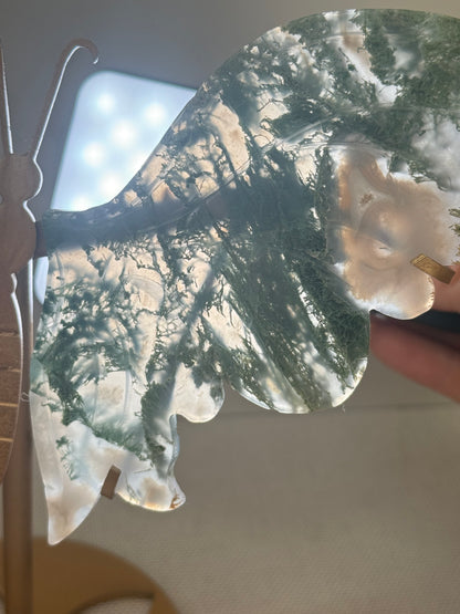 Moss Agate Butterfly Wings