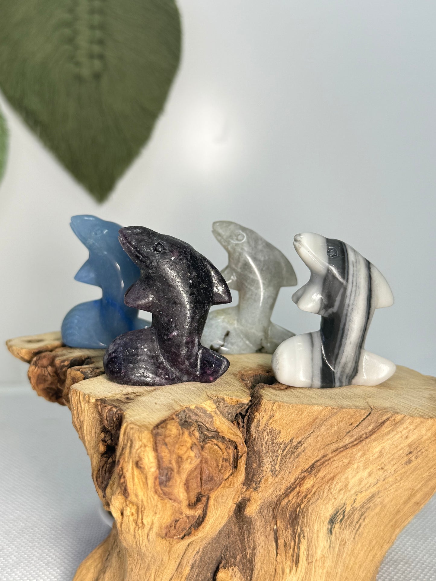 Dolphin Carvings