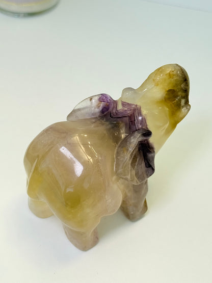 Fluorite Elephant