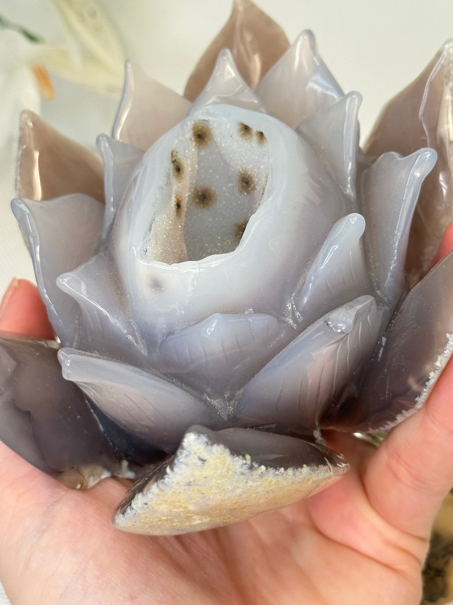 Large Druzy Agate Lotus