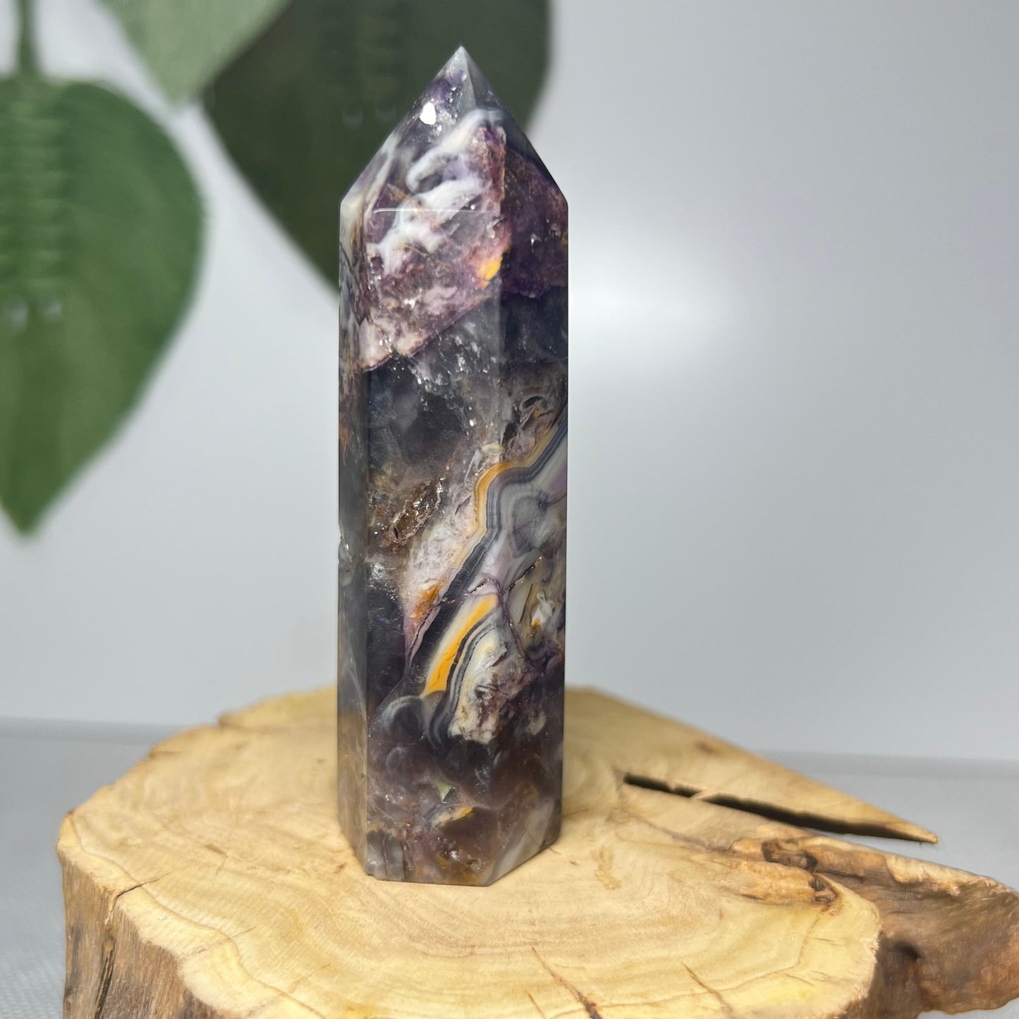 Fluorite Root Point