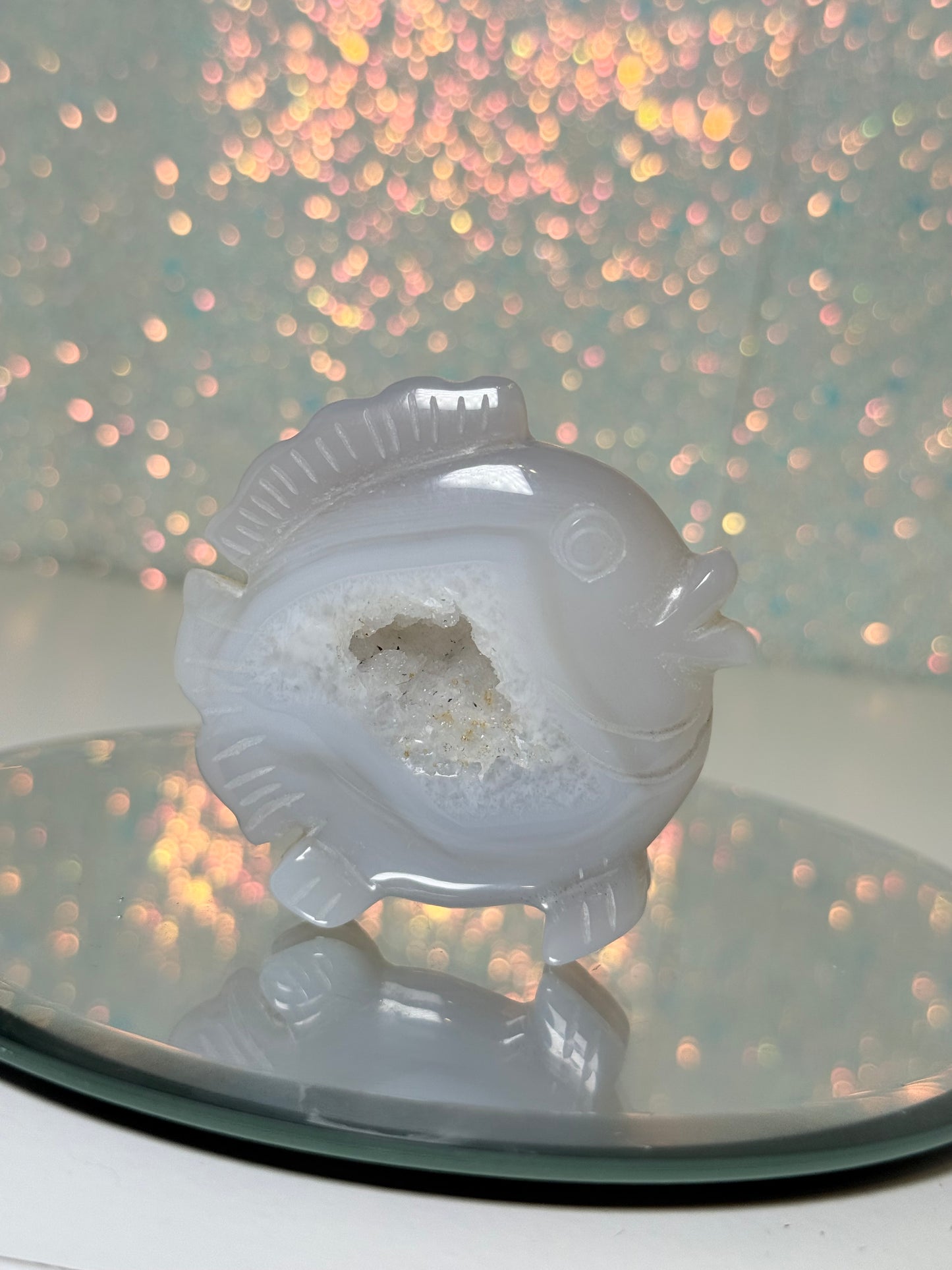 Druzy Agate Fish (B)