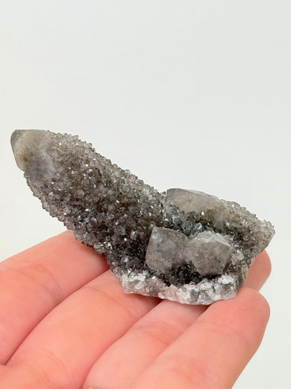 Black Spirit Quartz Specimen