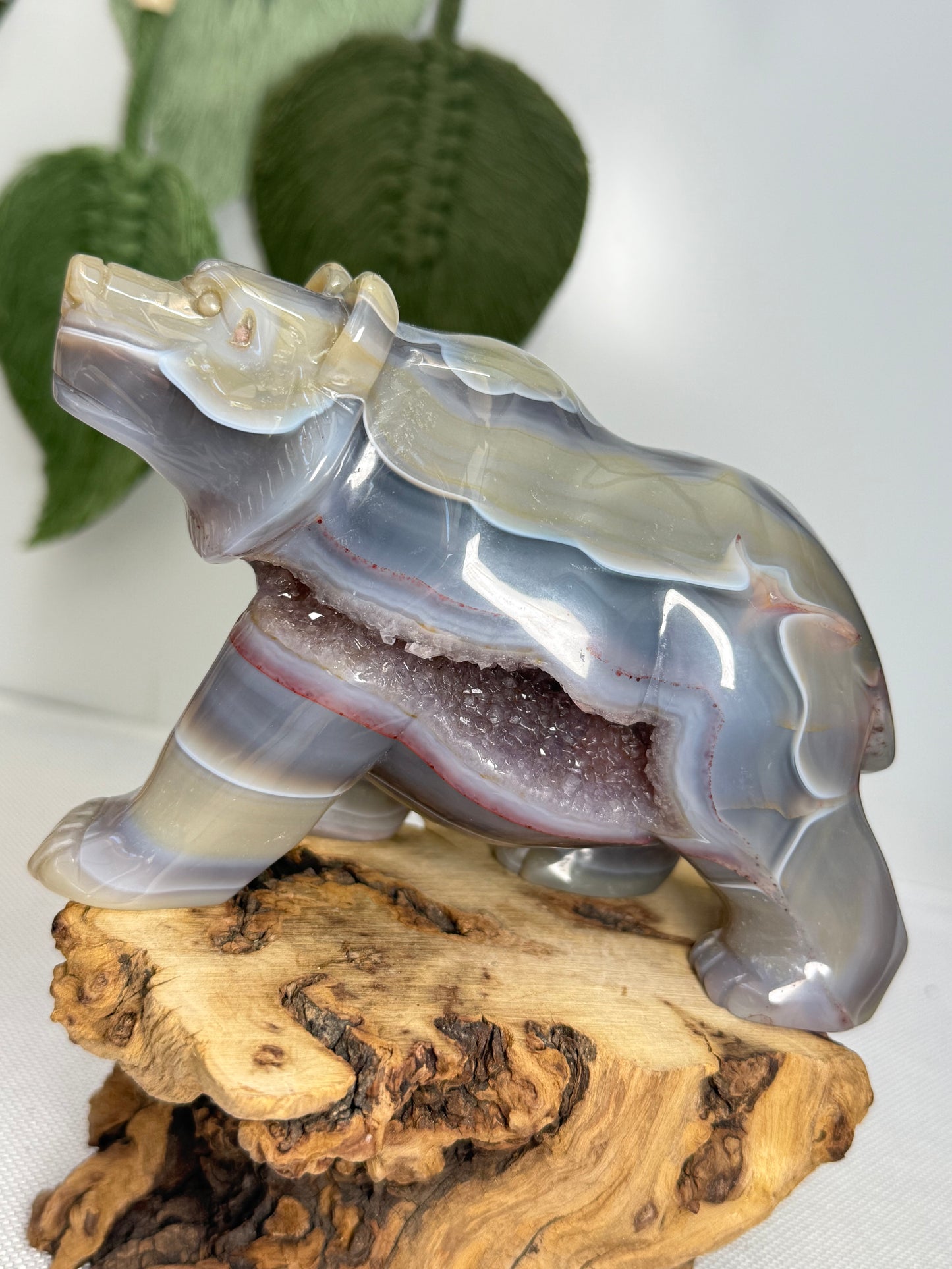 XL Druzy Agate Bear