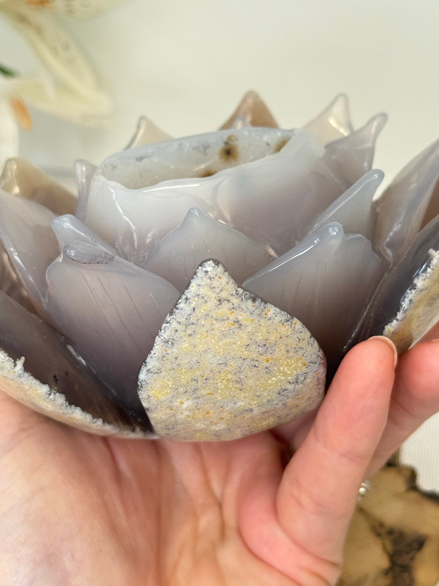 Large Druzy Agate Lotus