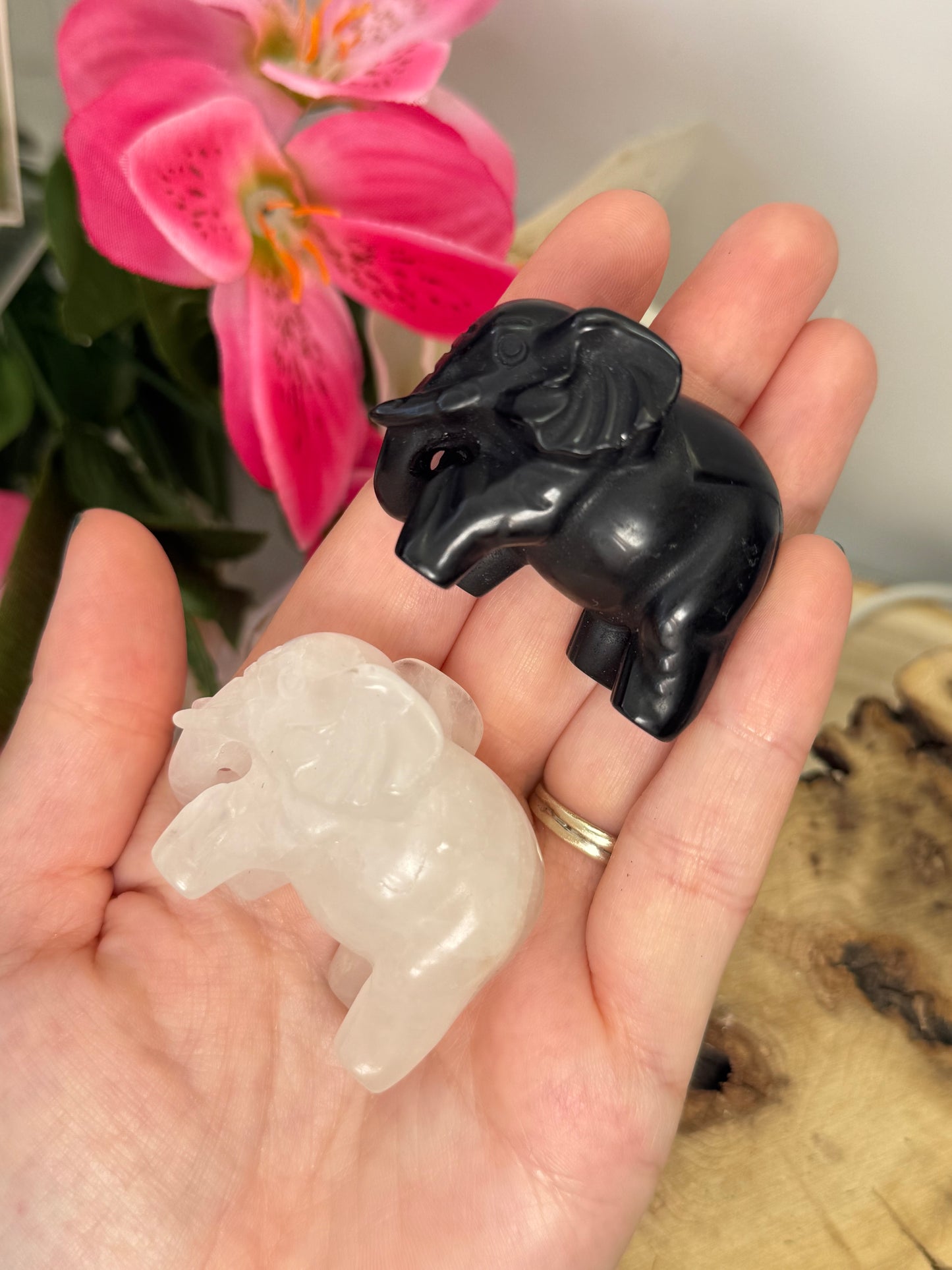 Elephant Carvings