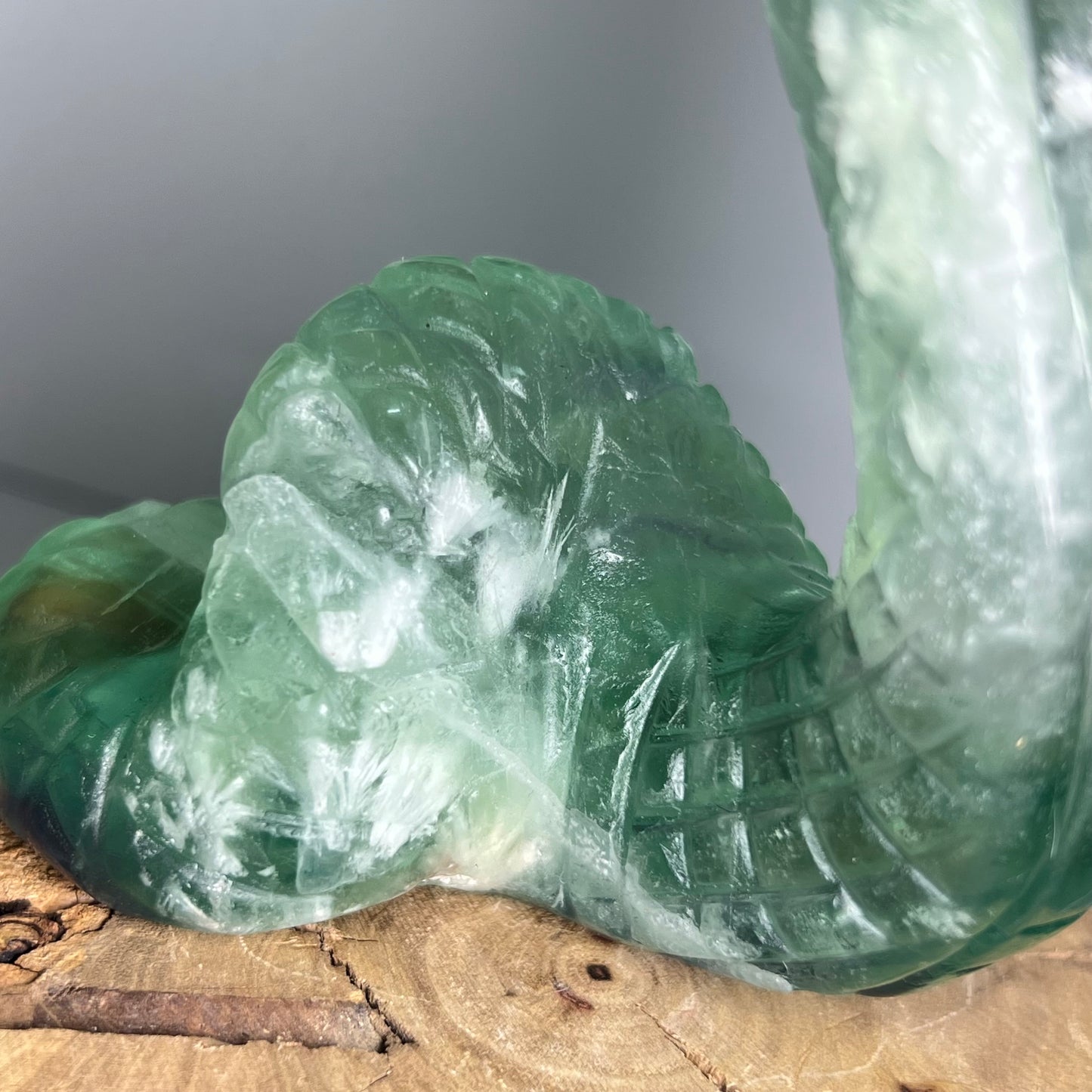 Large Fluorite Cobra Snake