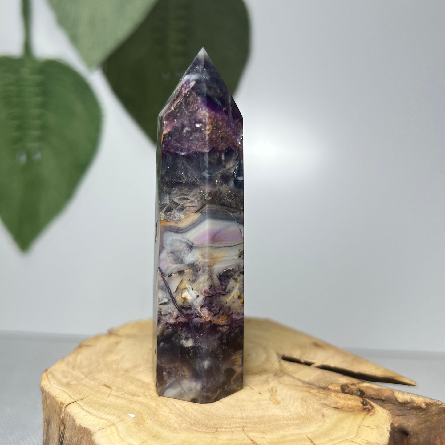 Fluorite Root Point