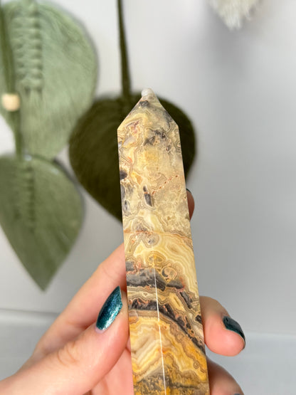 Crazy Lace Agate Point