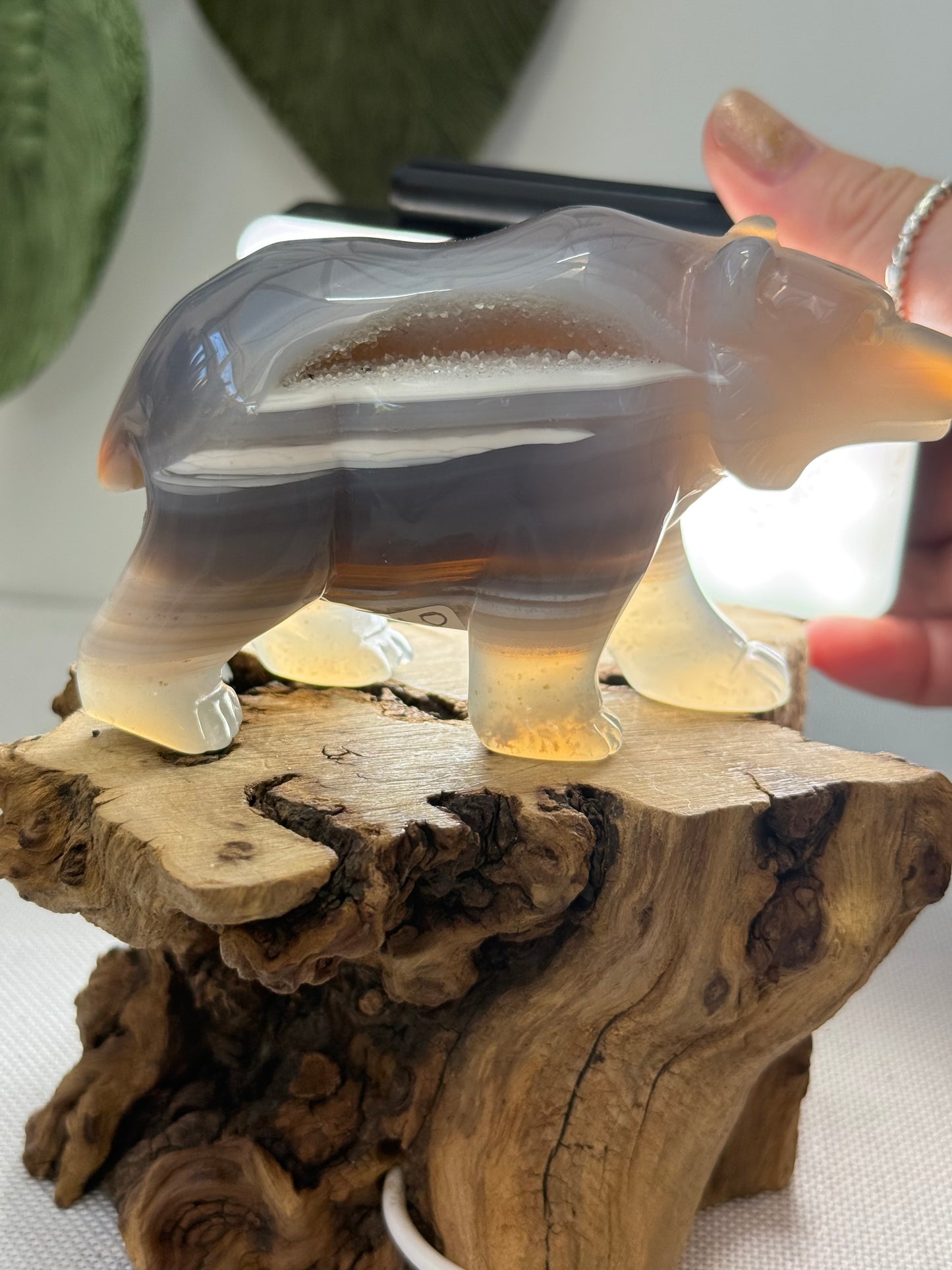 Druzy Agate Bear