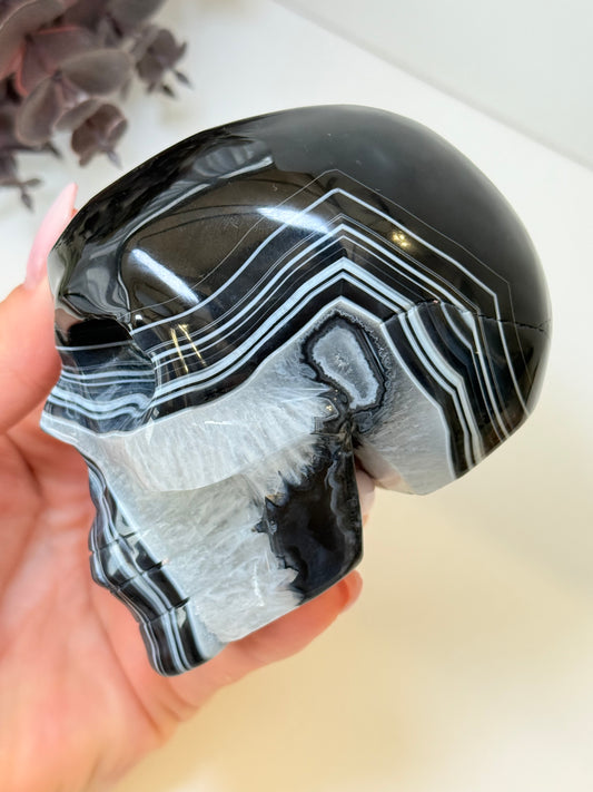 Black Banded Agate Large Skull