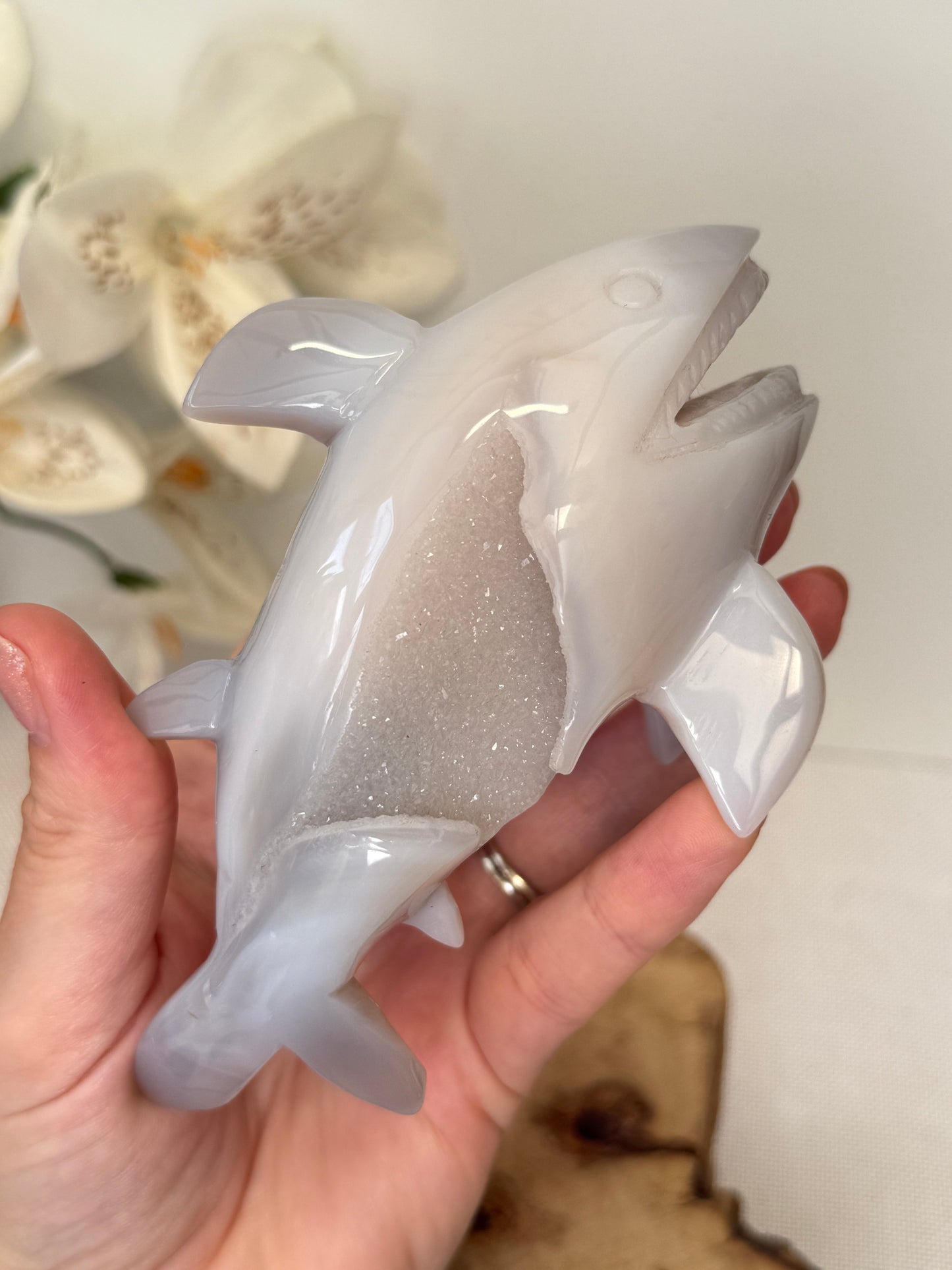 Druzy Agate Shark