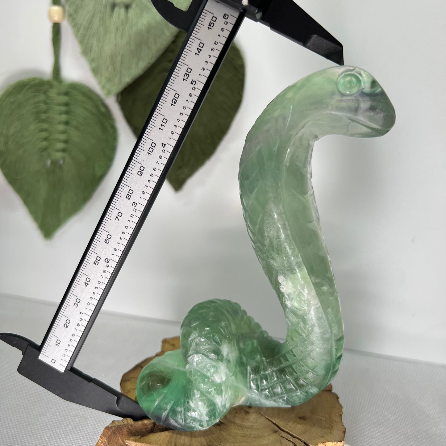 Large Fluorite Cobra Snake